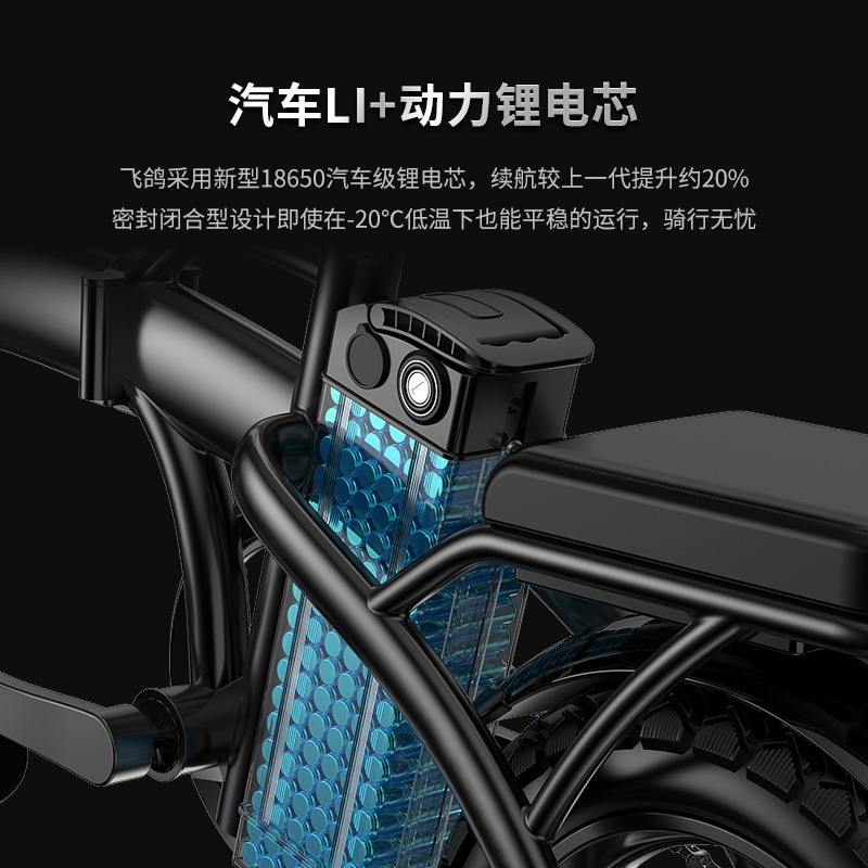 국경 간 수출 W8 성인용 전기 자전거 신규 국가 표준 - Brake Disc Motorcycle 리뷰 및 가격