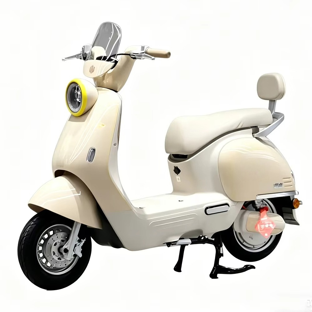 EER 성인용 전기 오토바이, 디스크 브레이크 장착,  - Brake Disc Motorcycle 리뷰 및 가격